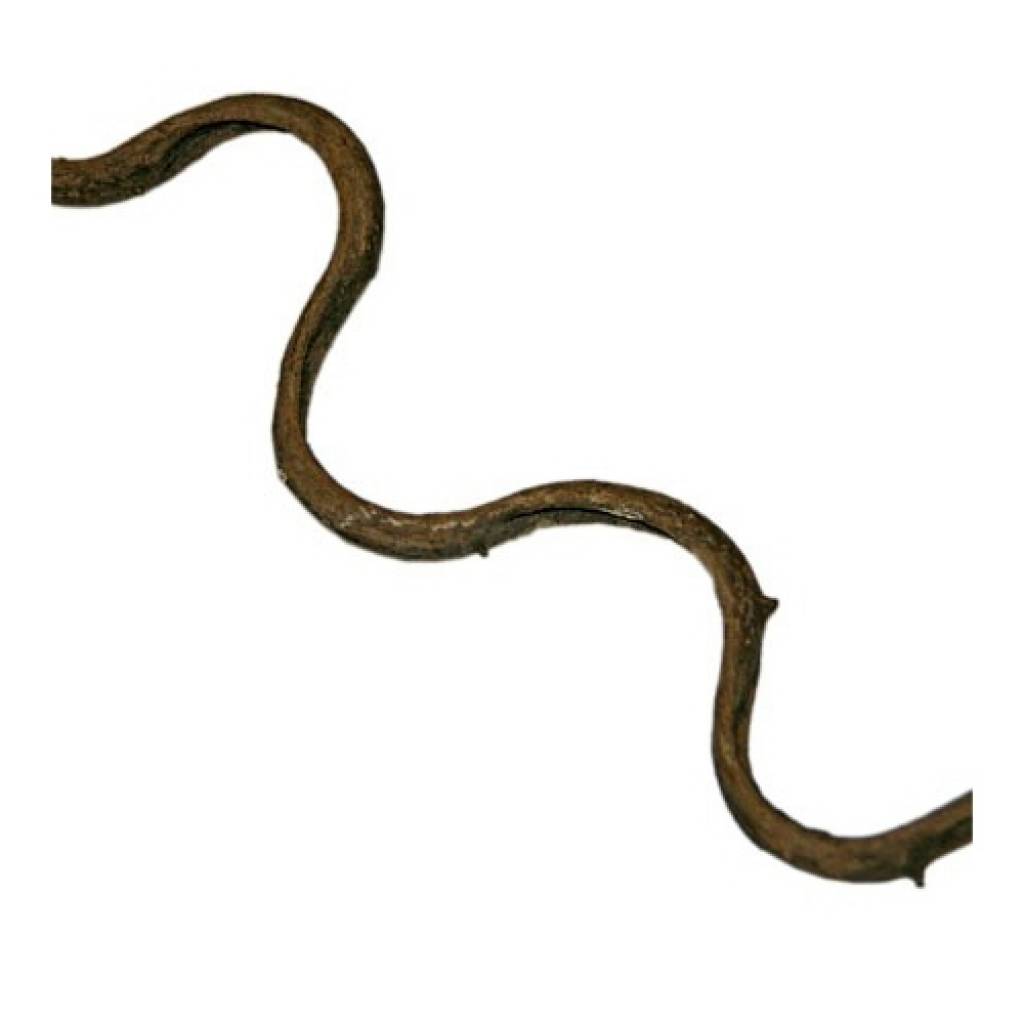 Curly Vine Small (Durchm. 1,5-3 cm) 90-100 cm